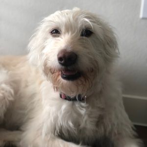 Meet your Posher, Leslie